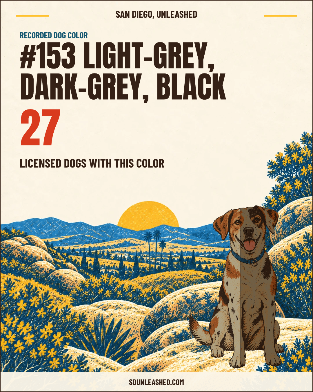 Light-grey, Dark-grey, Black share card