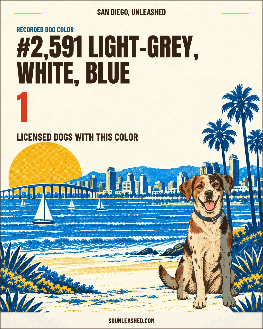 Light-grey, White, Blue share card