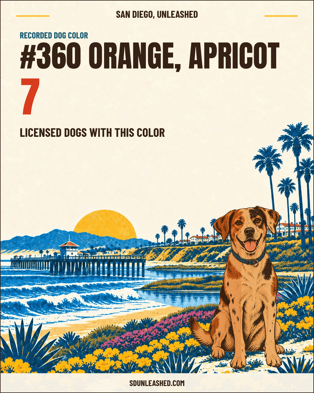 Orange, Apricot share card