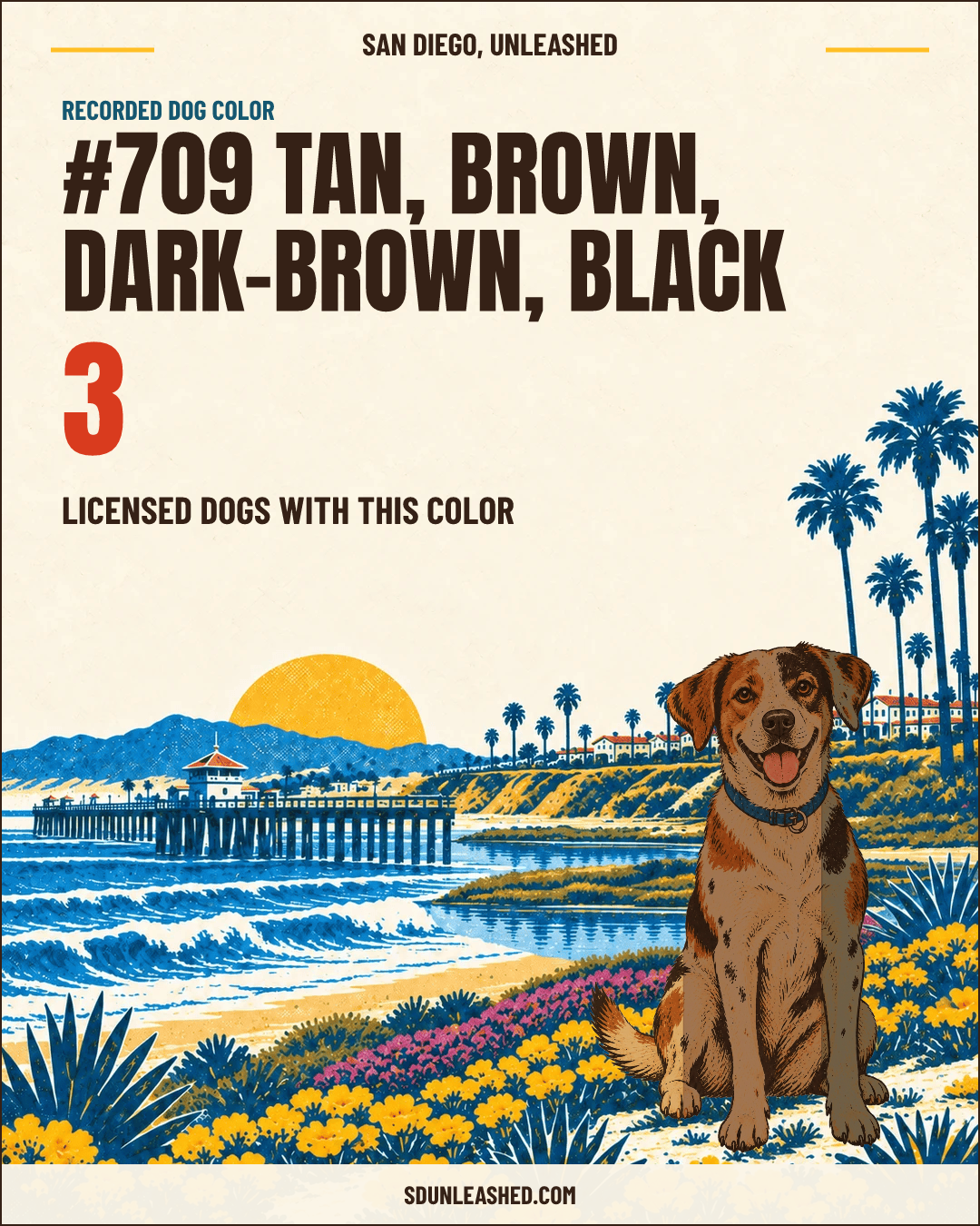 Tan, Brown, Dark-brown, Black share card
