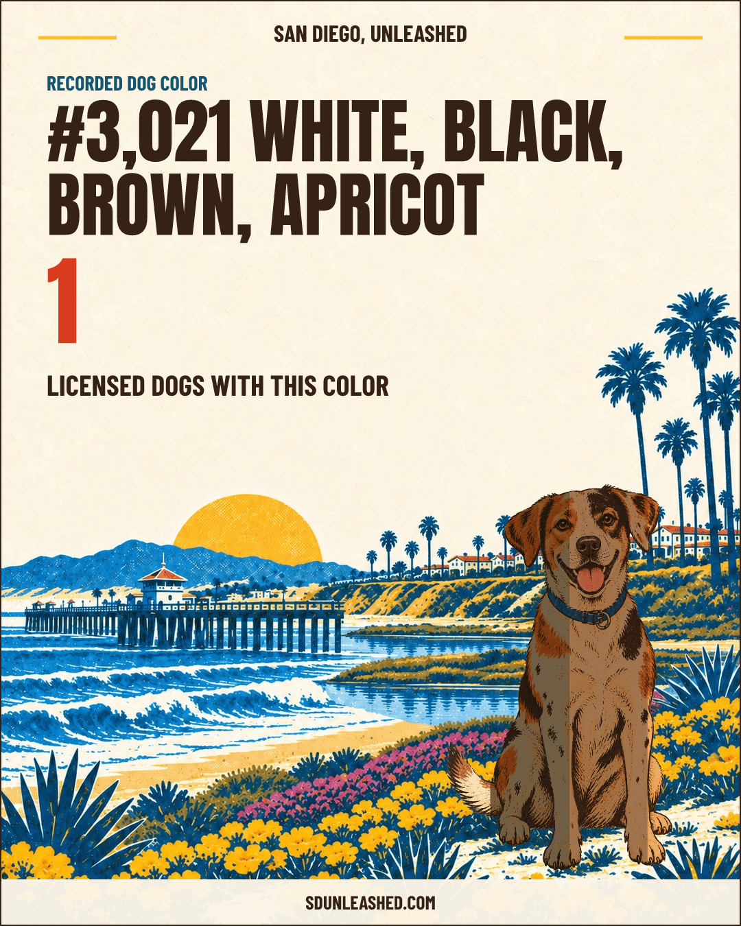 White, Black, Brown, Apricot share card
