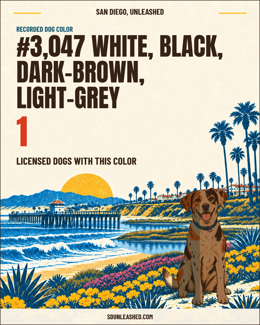 White, Black, Dark-brown, Light-grey share card