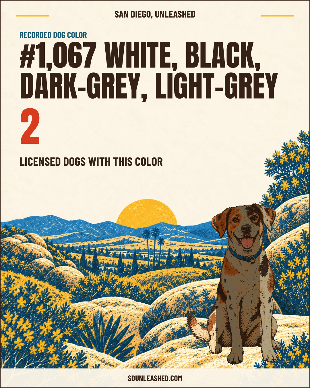 White, Black, Dark-grey, Light-grey share card