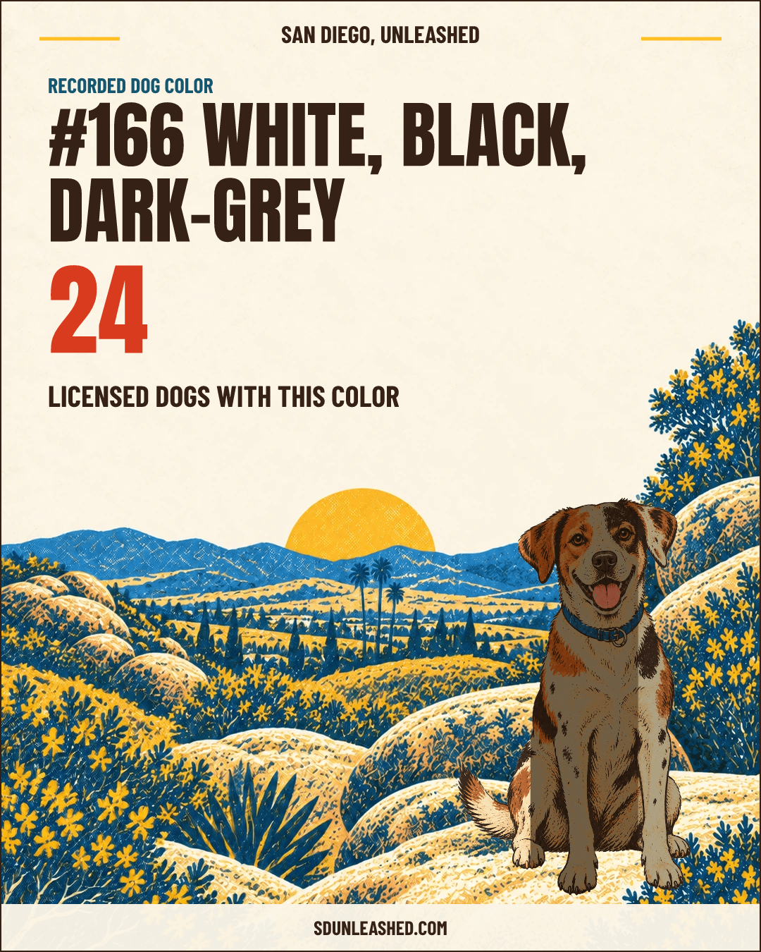 White, Black, Dark-grey share card
