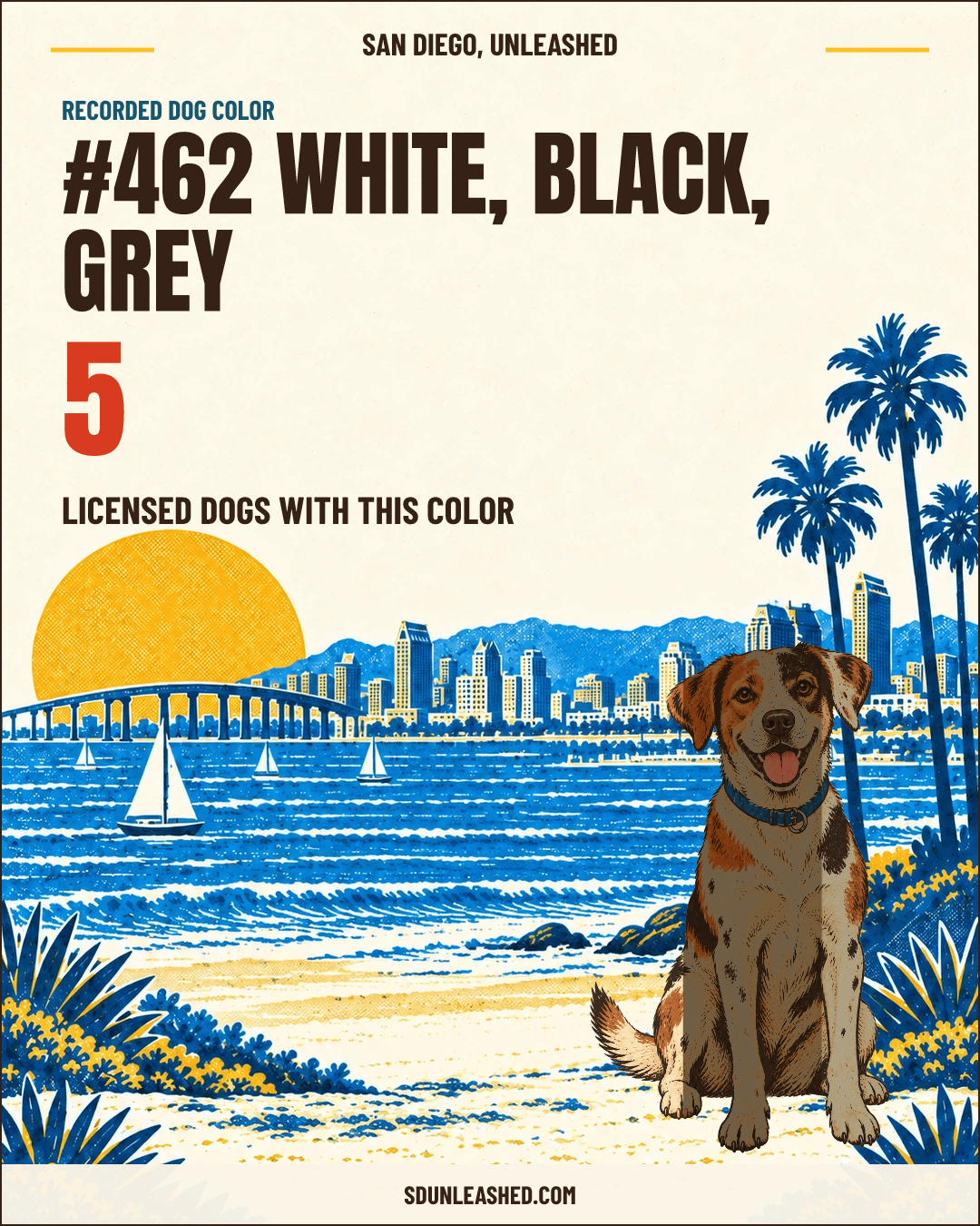 White, Black, Grey share card