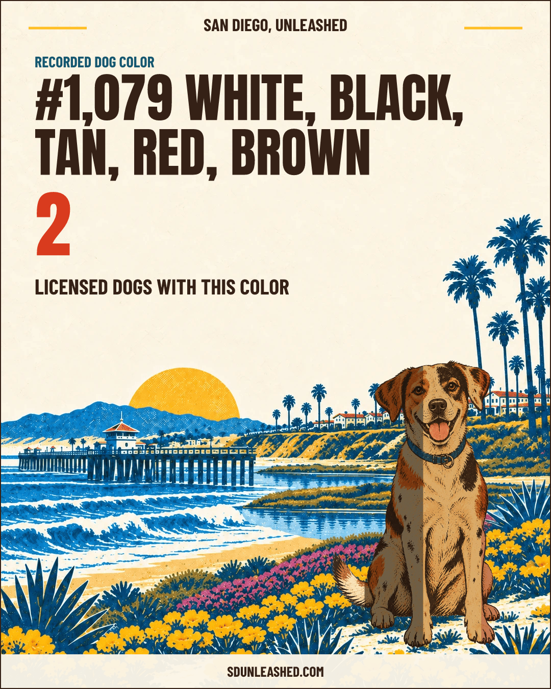 White, Black, Tan, Red, Brown share card