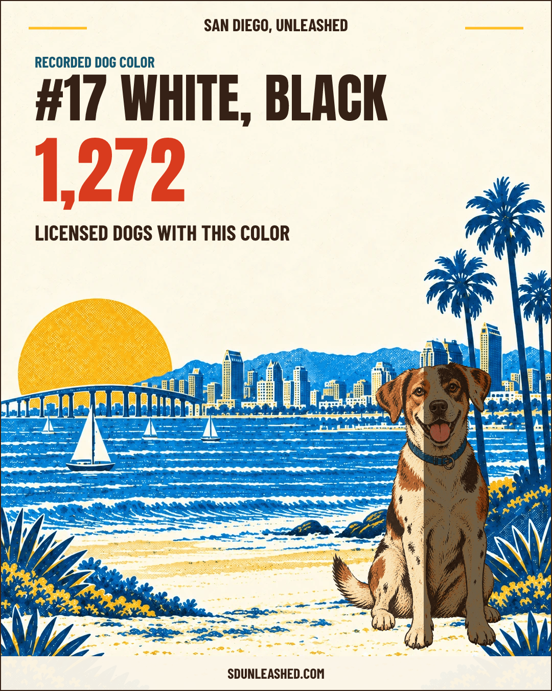 White, Black share card