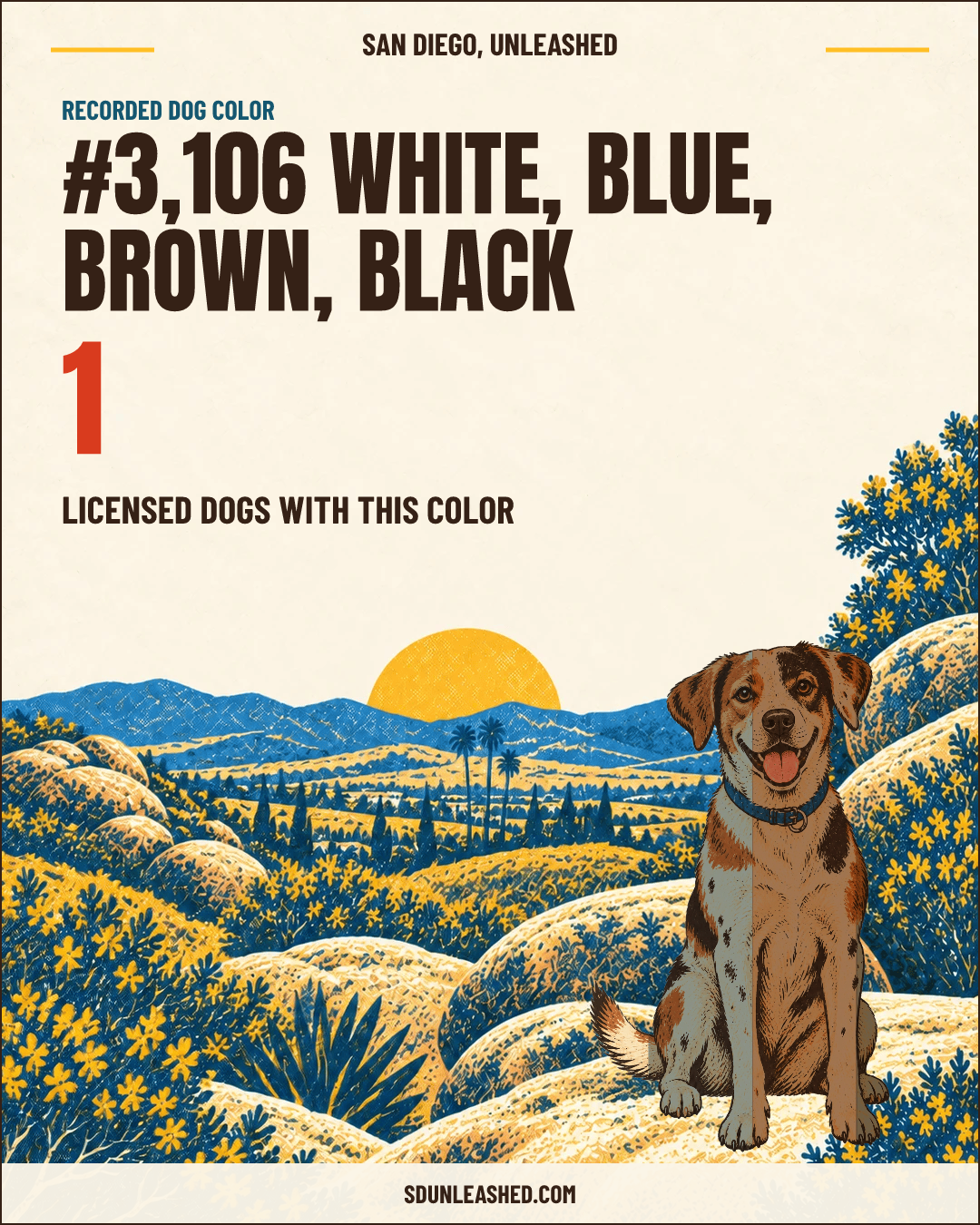 White, Blue, Brown, Black share card