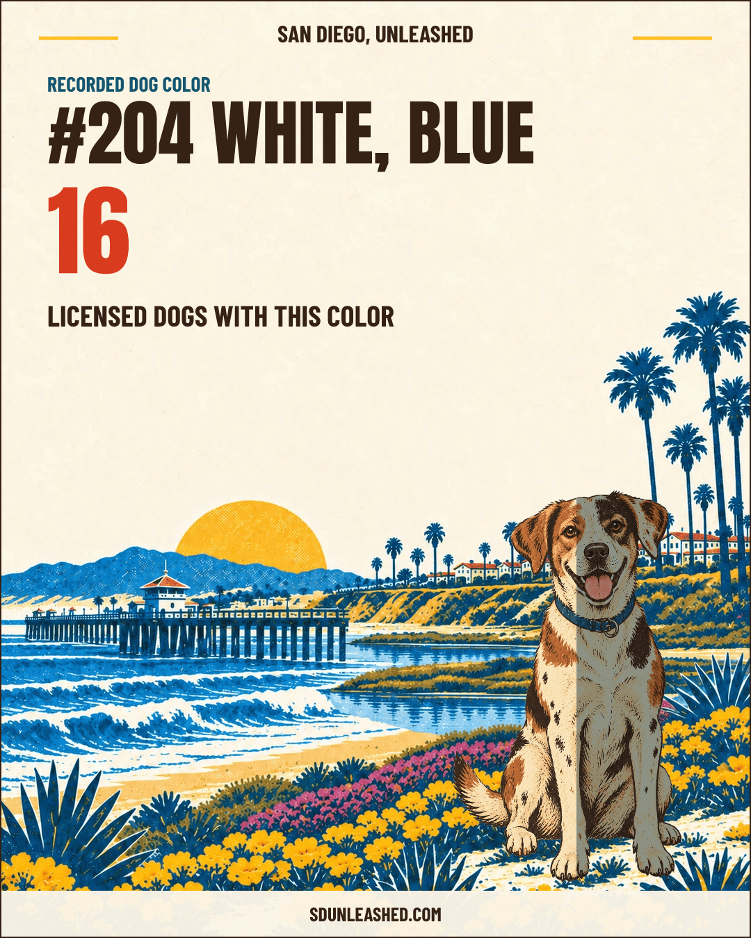 White, Blue share card