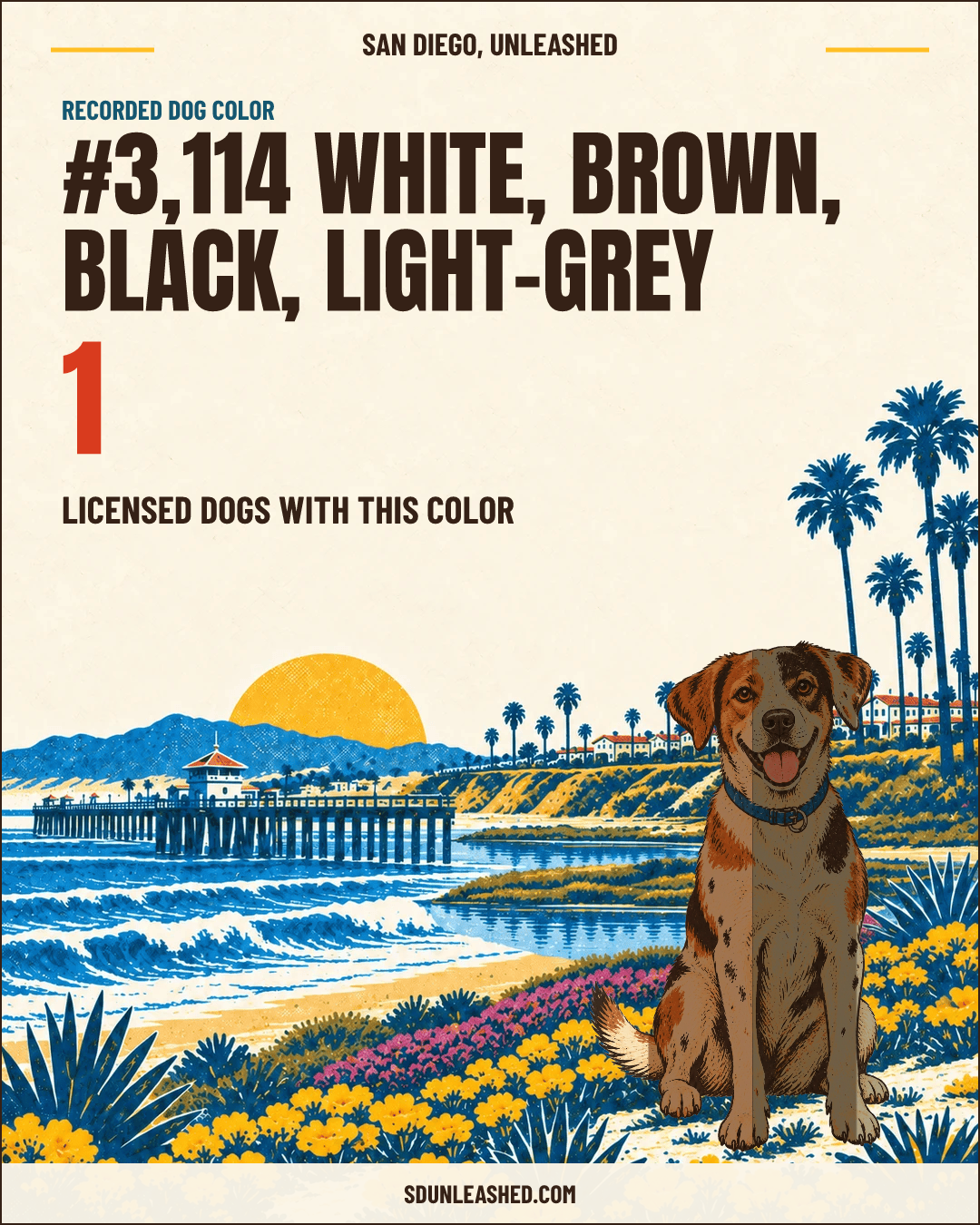 White, Brown, Black, Light-grey share card