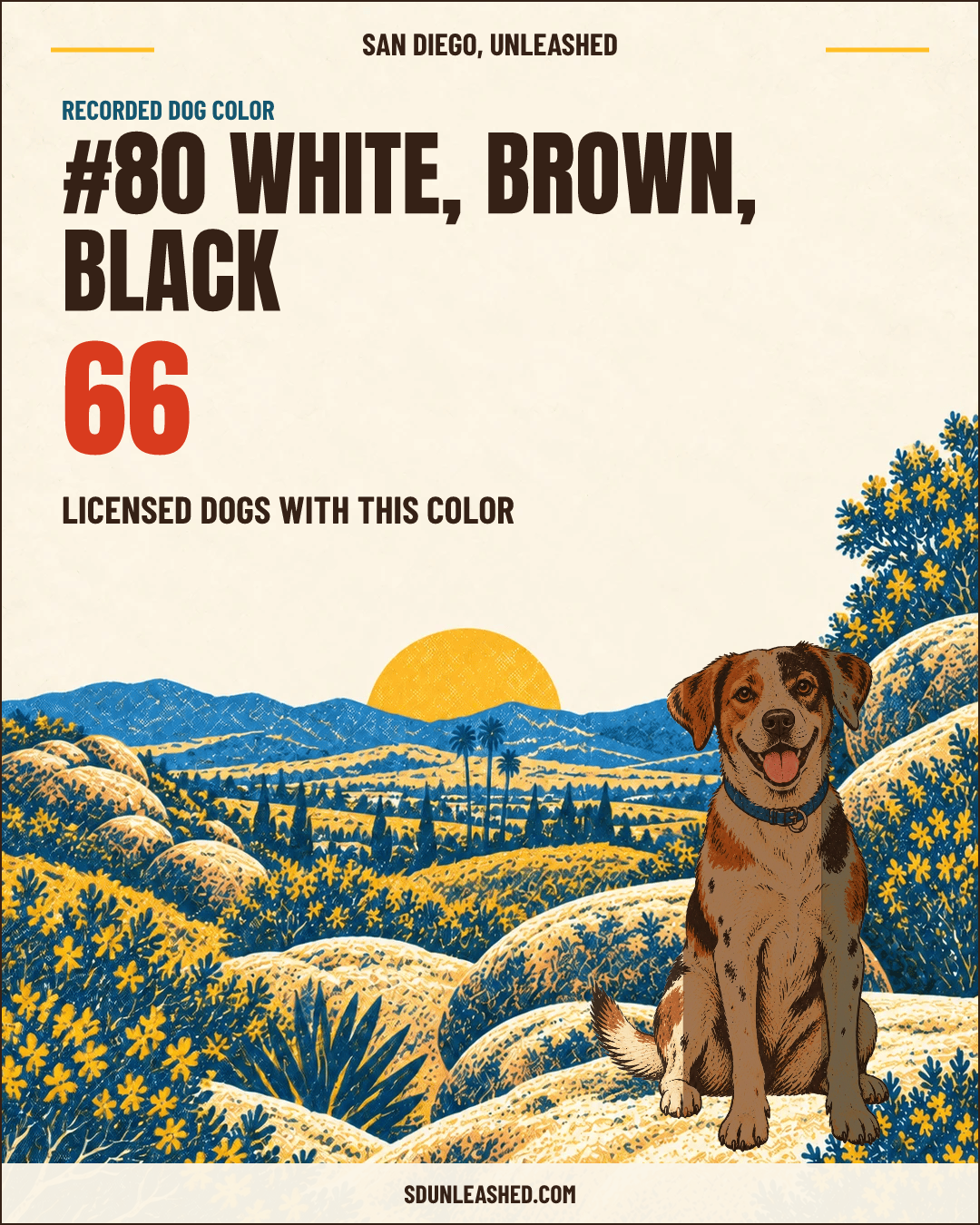 White, Brown, Black share card