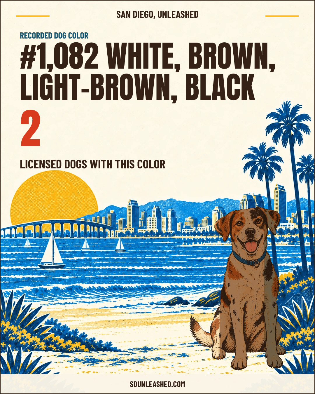 White, Brown, Light-brown, Black share card