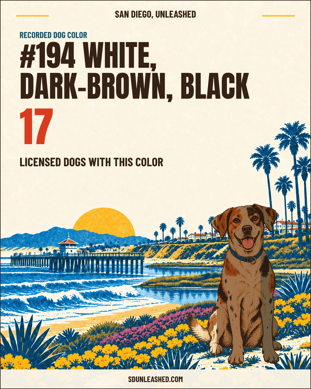 White, Dark-brown, Black share card