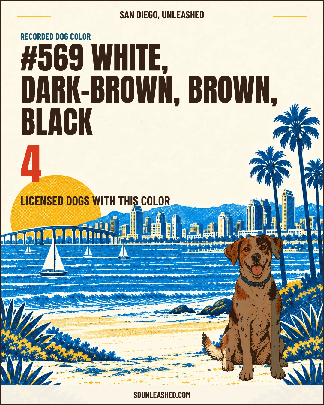 White, Dark-brown, Brown, Black share card
