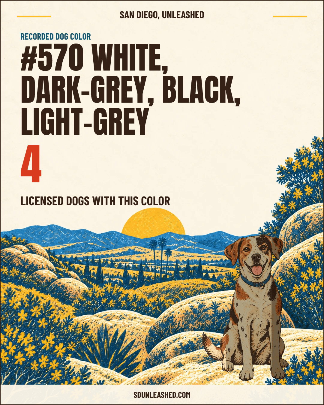 White, Dark-grey, Black, Light-grey share card