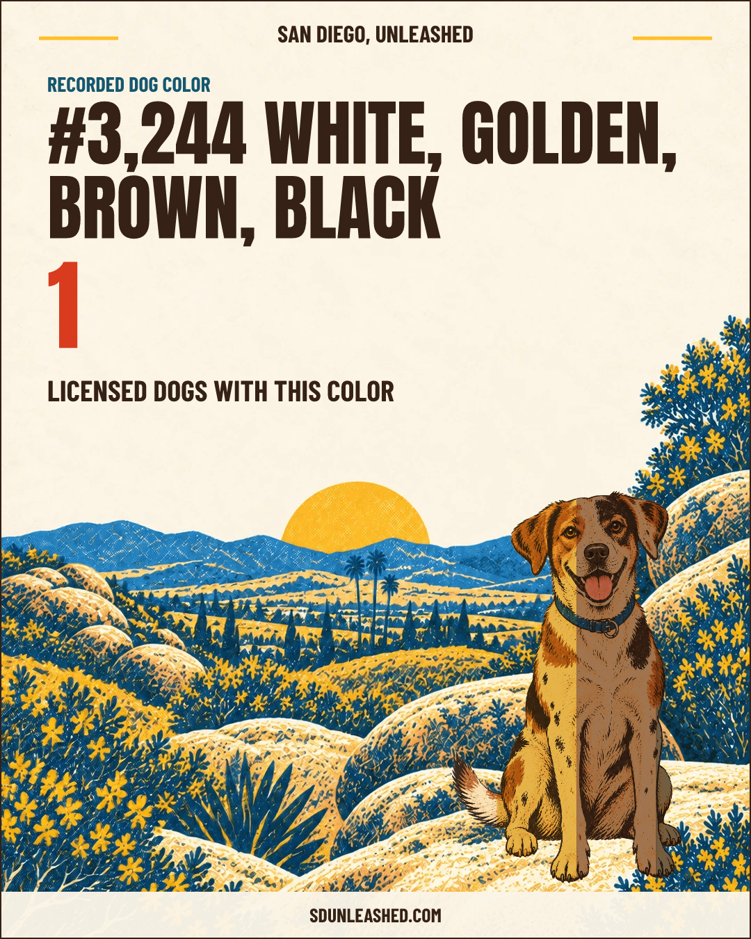 White, Golden, Brown, Black share card