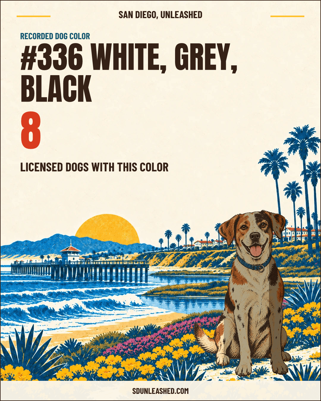White, Grey, Black share card