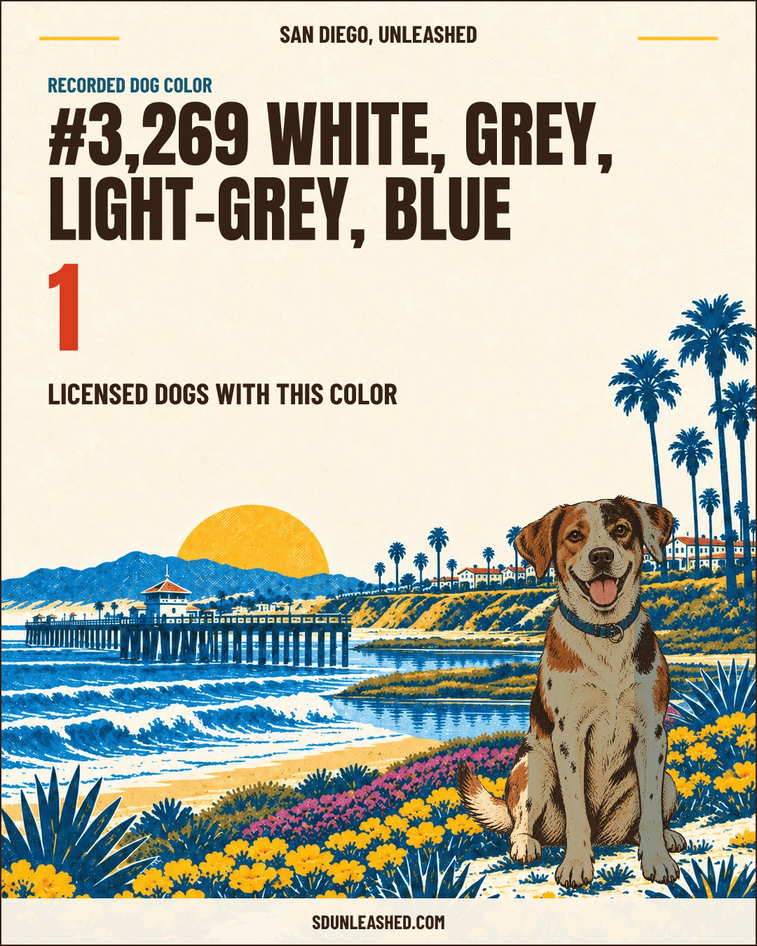 White, Grey, Light-grey, Blue share card