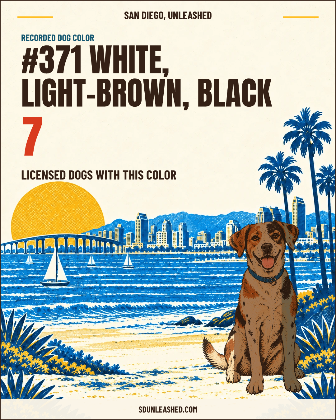 White, Light-brown, Black share card