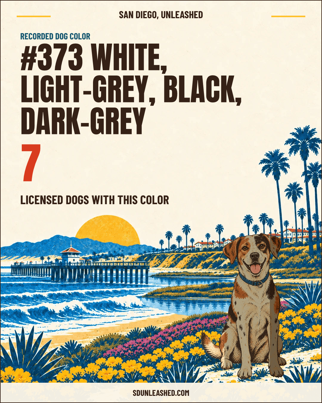 White, Light-grey, Black, Dark-grey share card