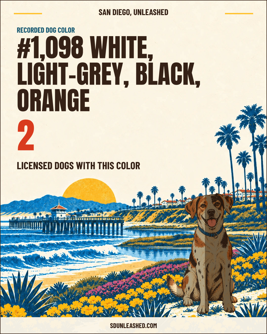 White, Light-grey, Black, Orange share card