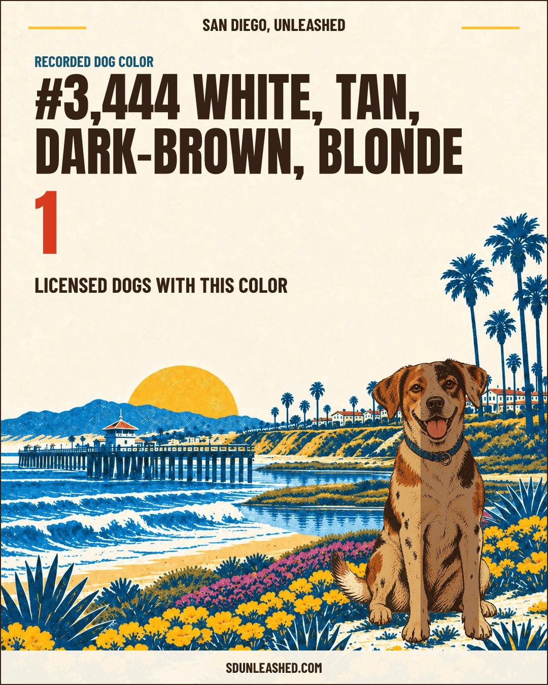 White, Tan, Dark-brown, Blonde share card