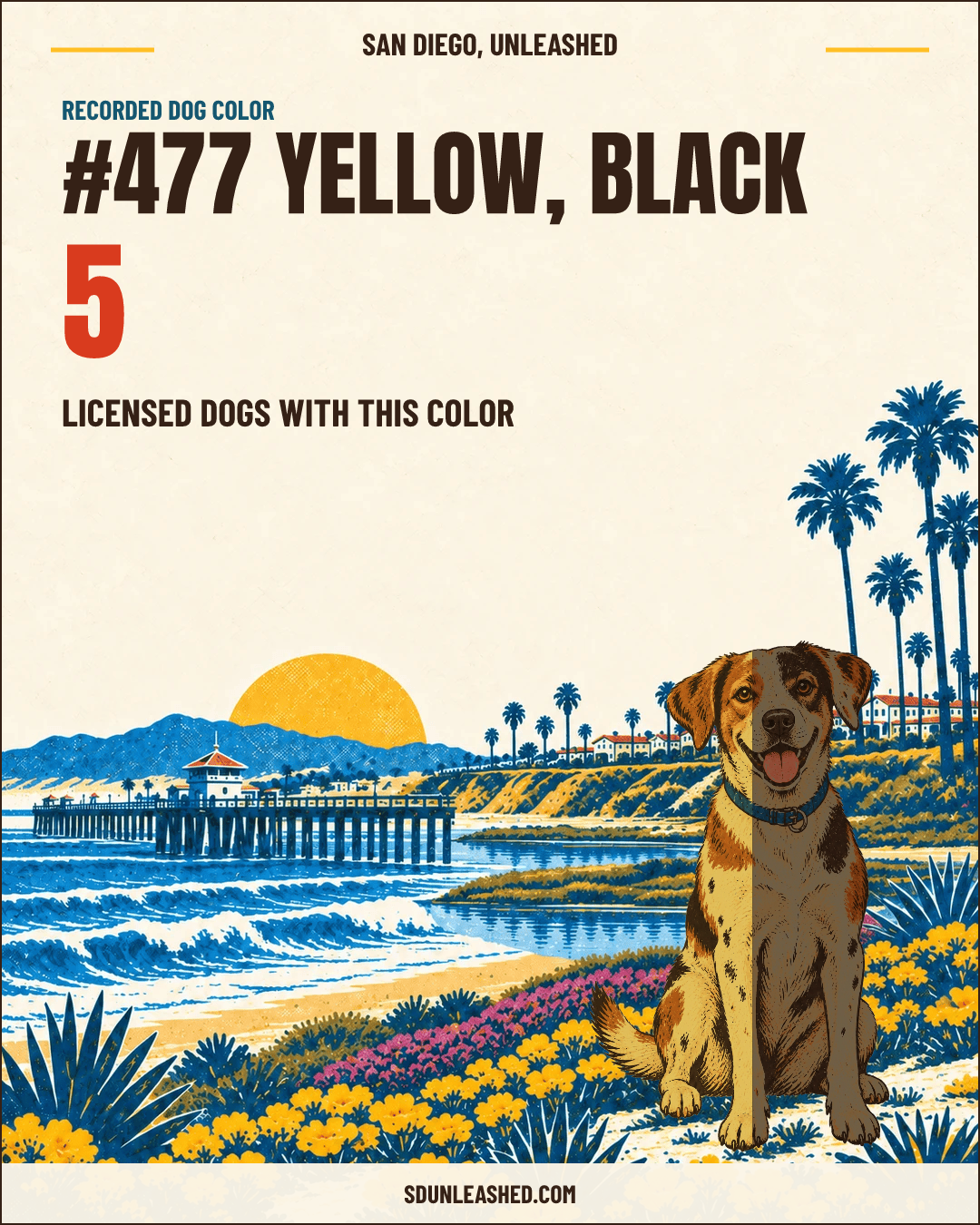 Yellow, Black share card