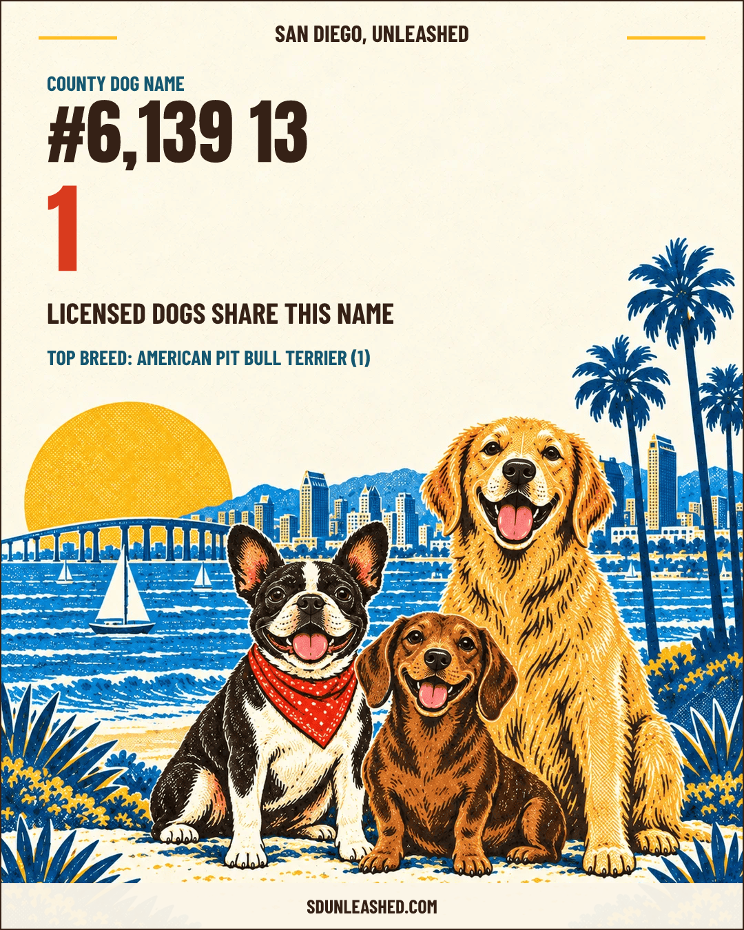 13 share card