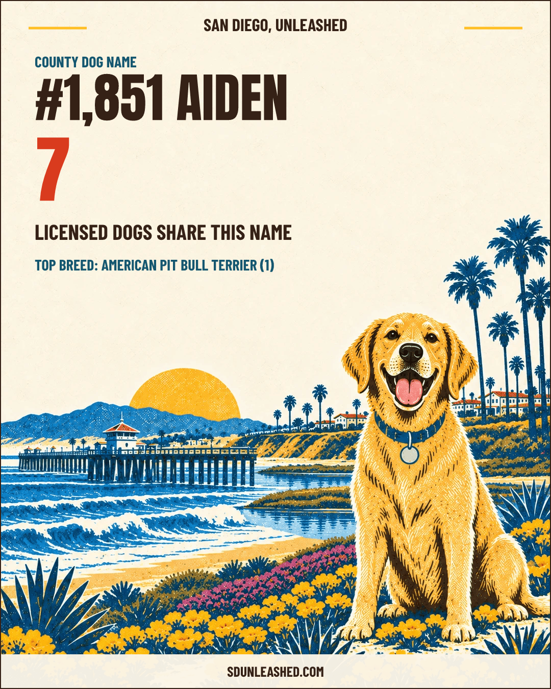 Aiden share card