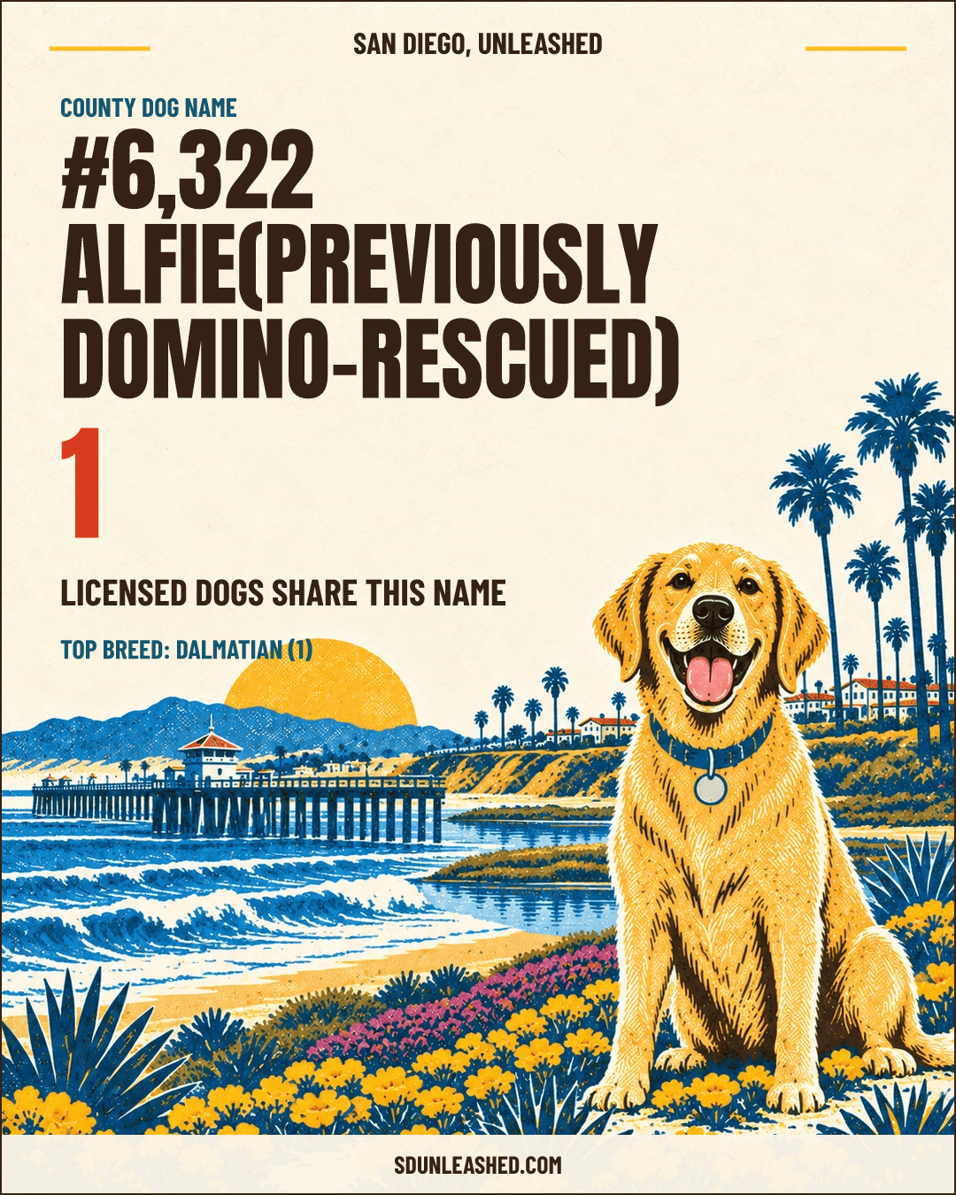 Alfie(previously Domino-rescued) share card