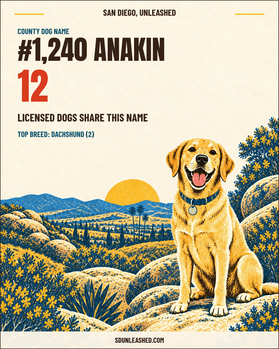 Anakin share card
