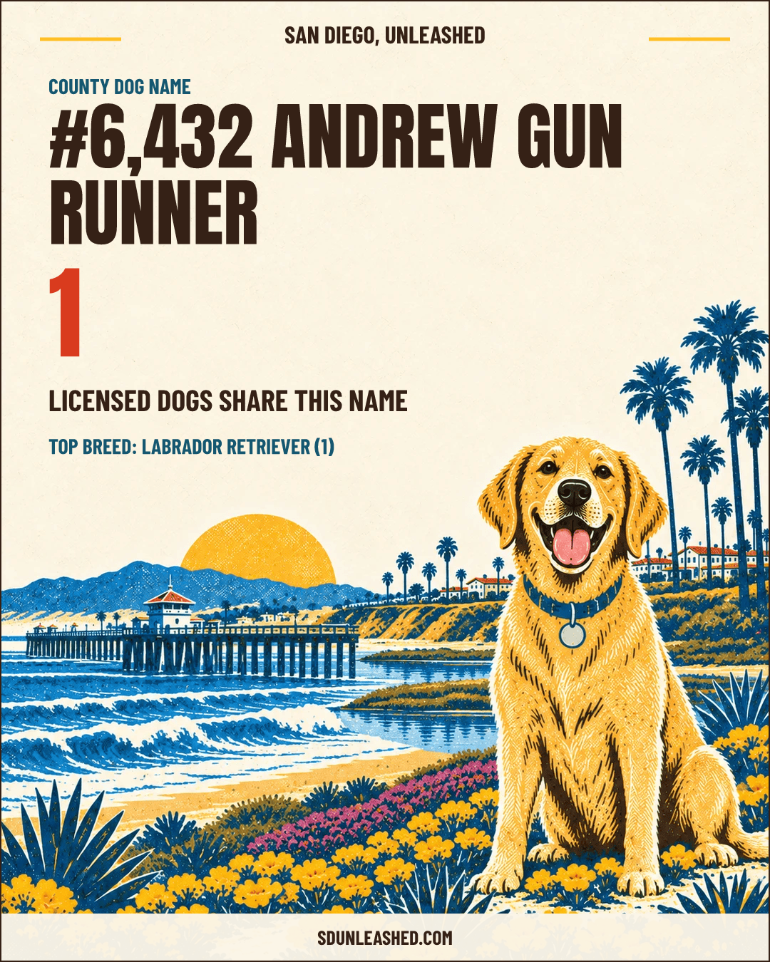 Andrew Gun Runner share card