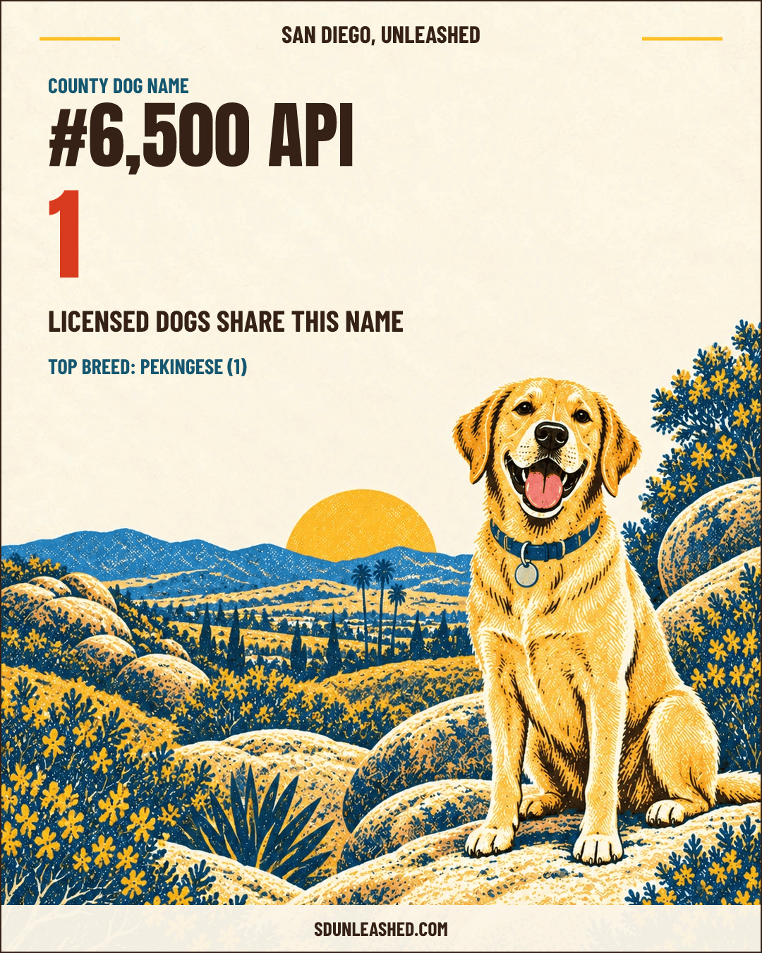 Api share card