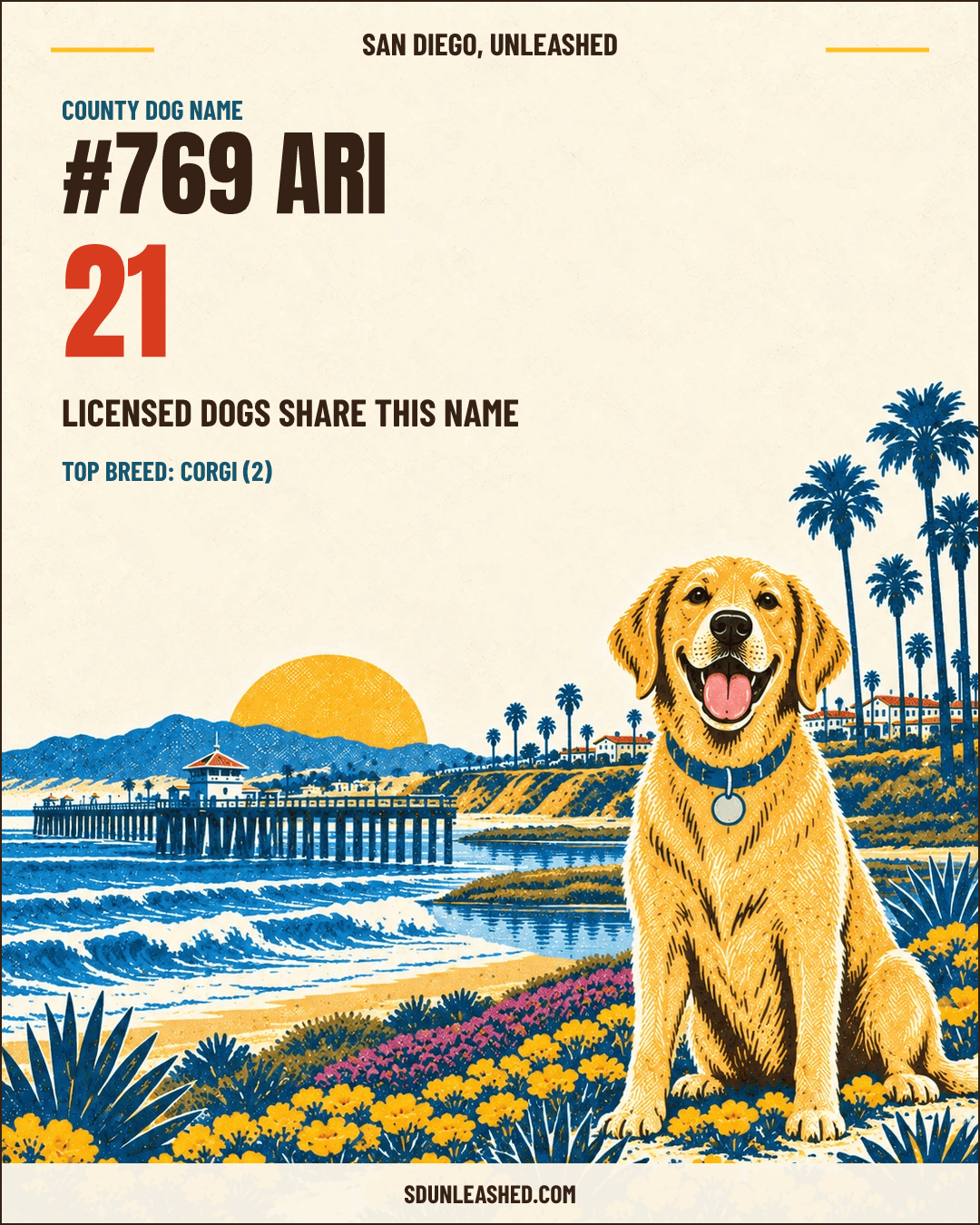 Ari share card