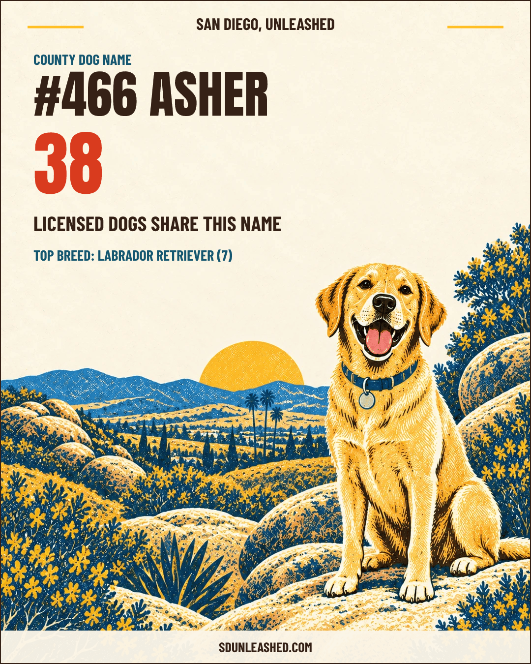 Asher share card