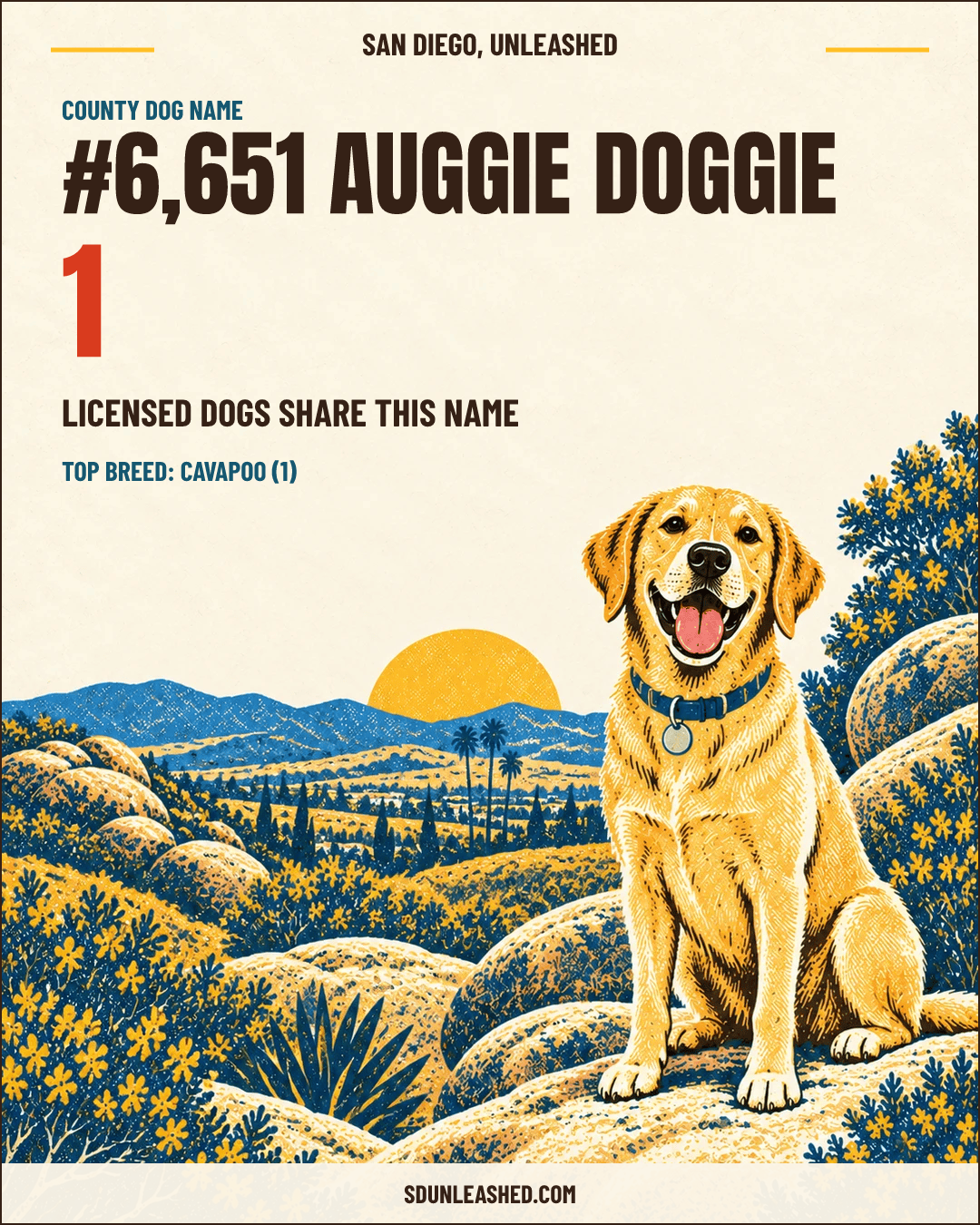 Auggie Doggie share card