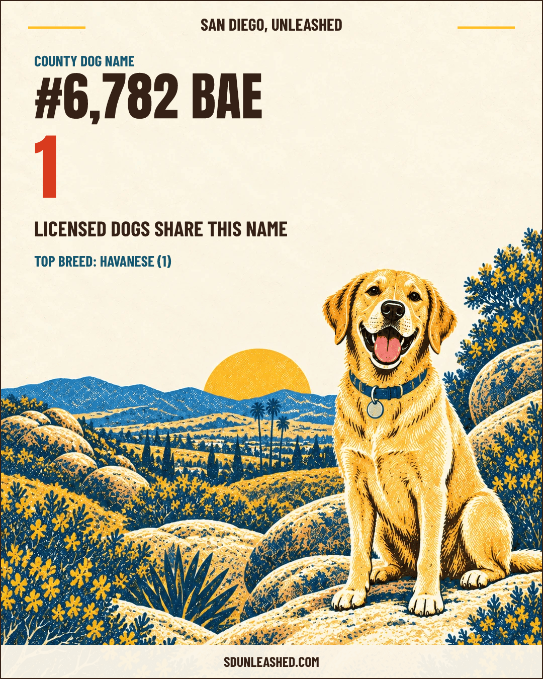 Bae share card
