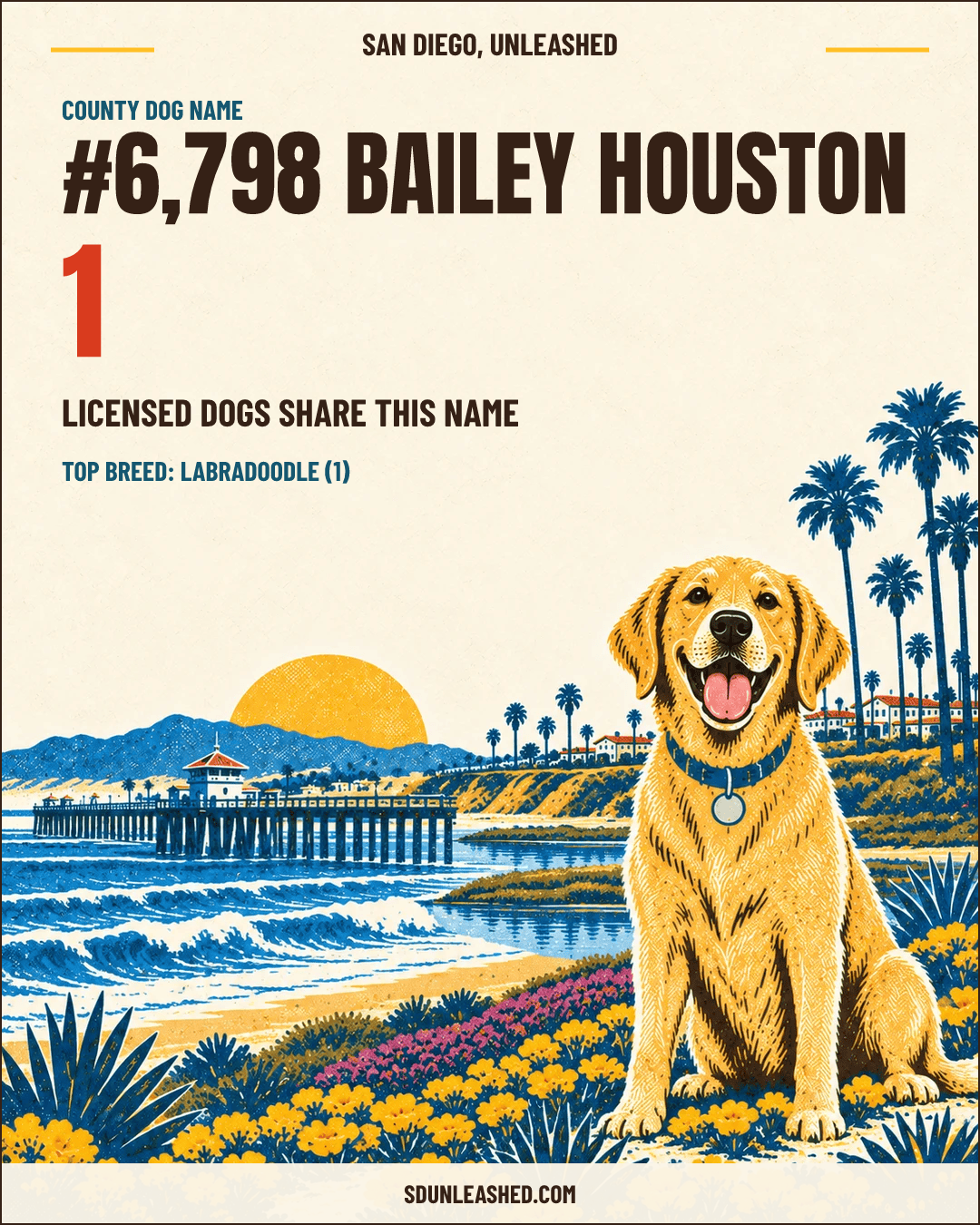 Bailey Houston share card