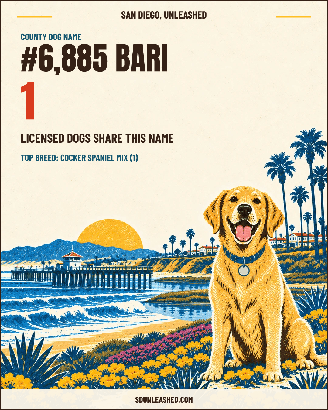 Bari share card