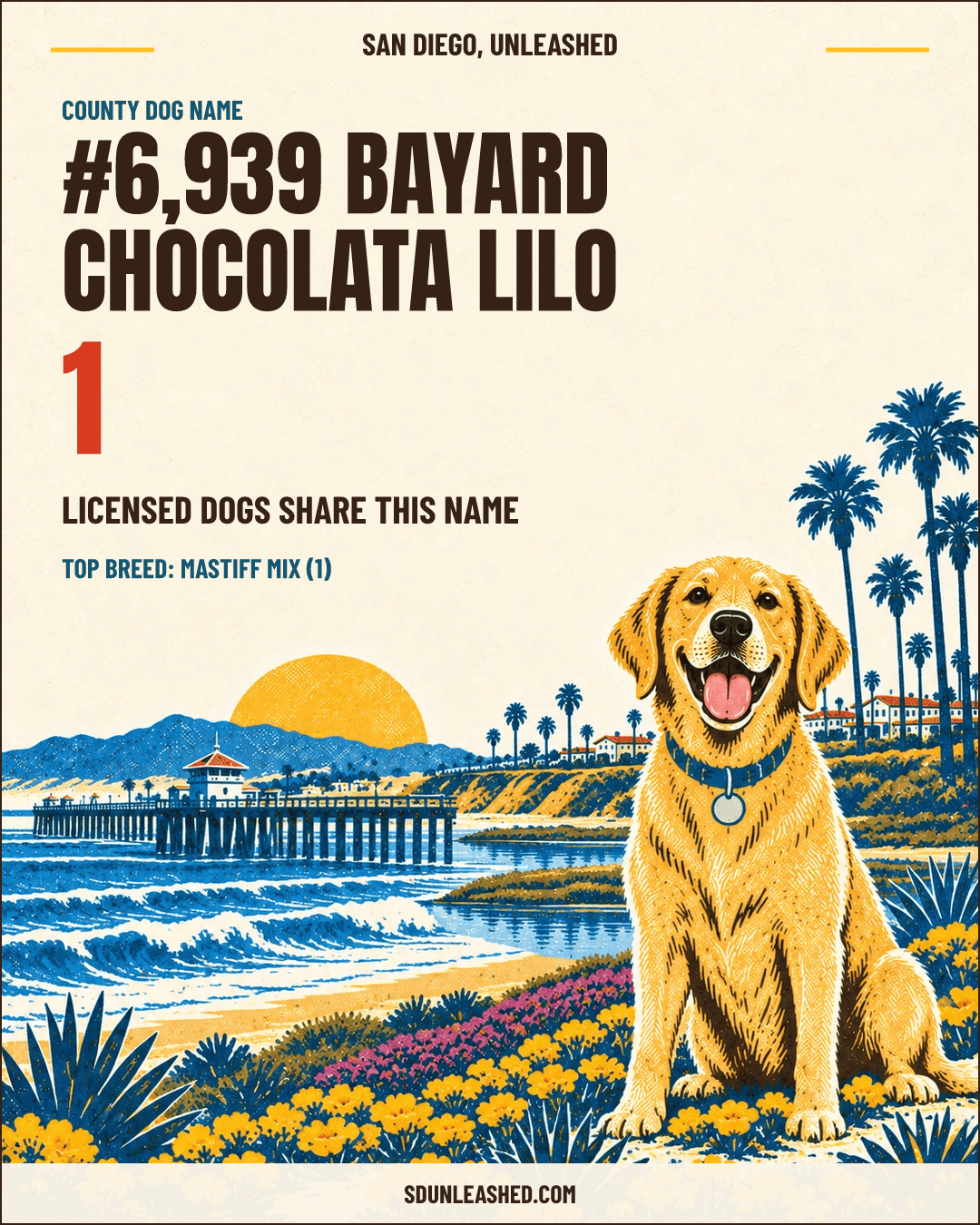 Bayard Chocolata Lilo share card