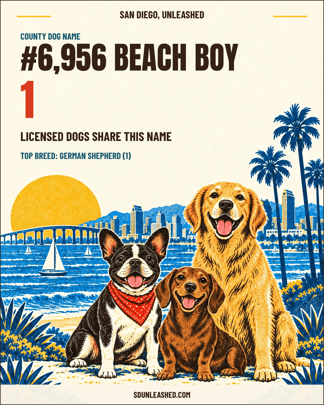 Beach Boy share card