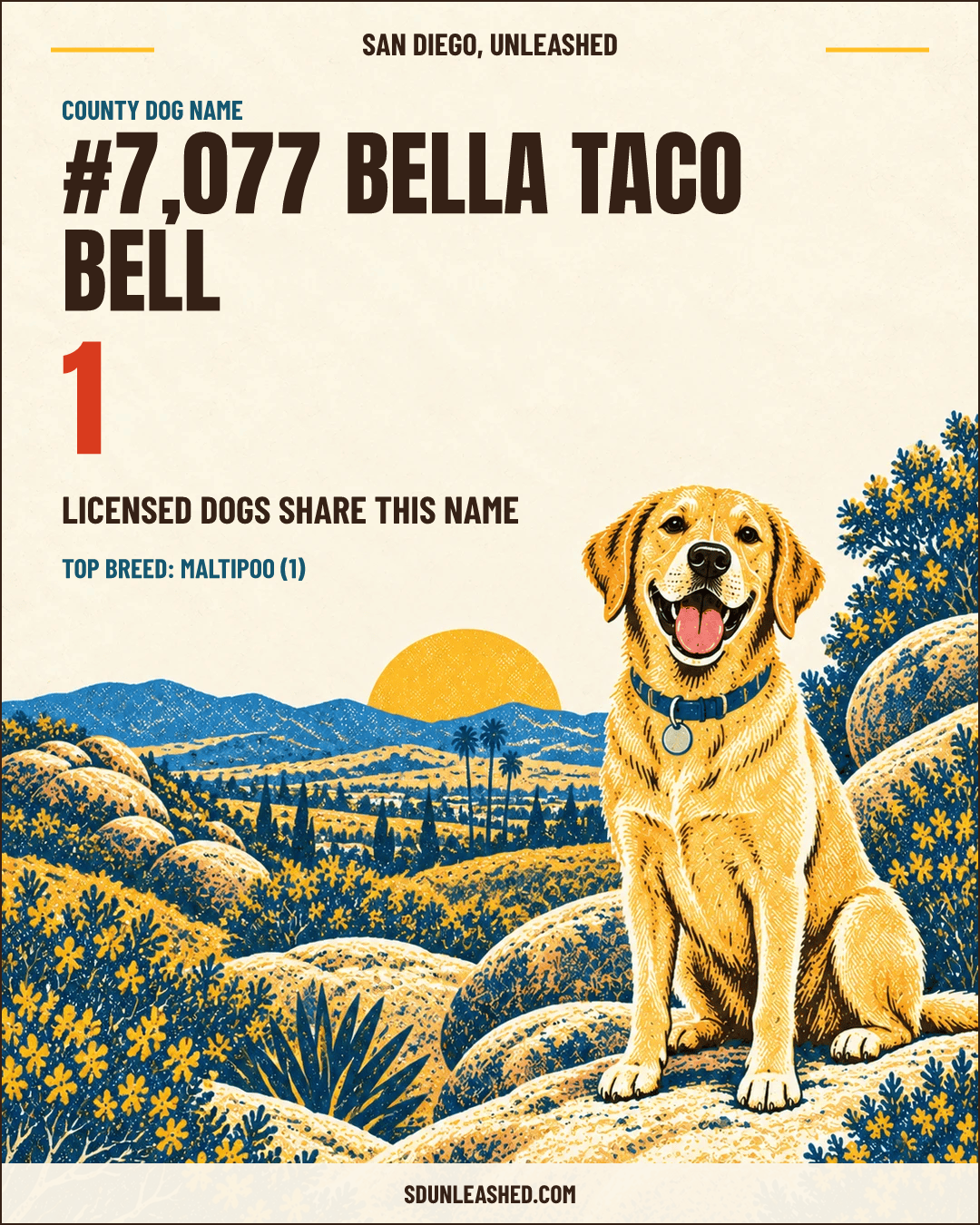 Bella Taco Bell share card