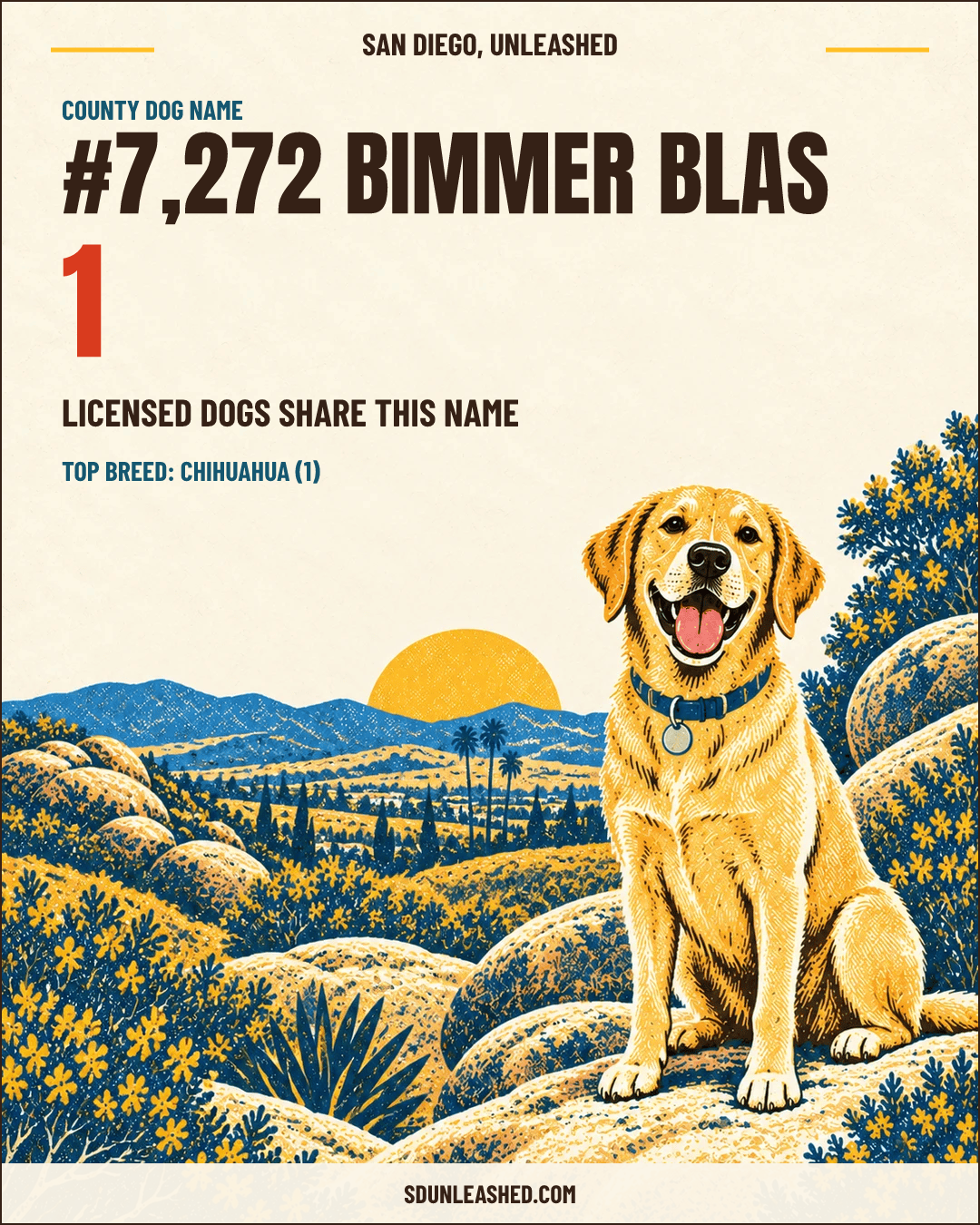 Bimmer Blas share card