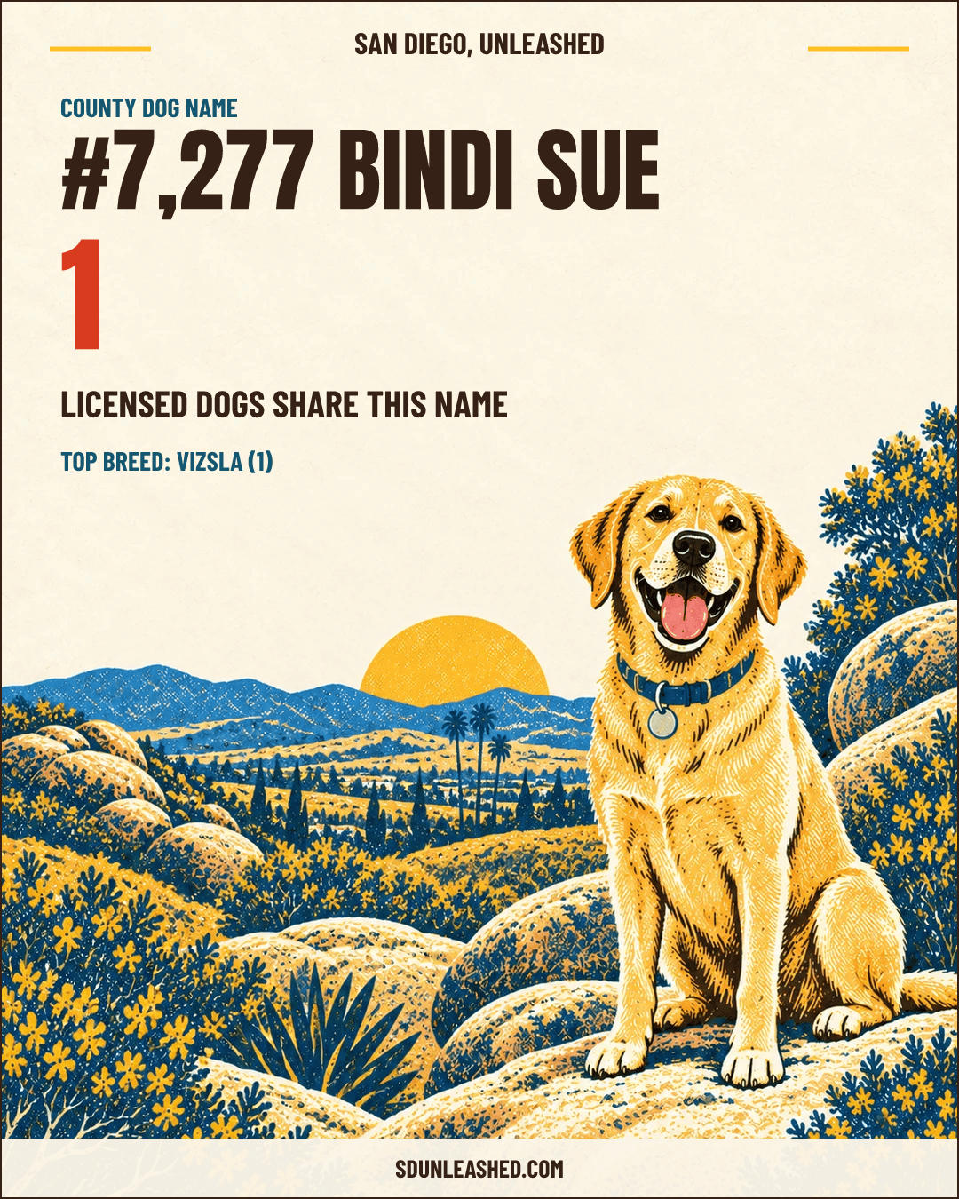 Bindi Sue share card