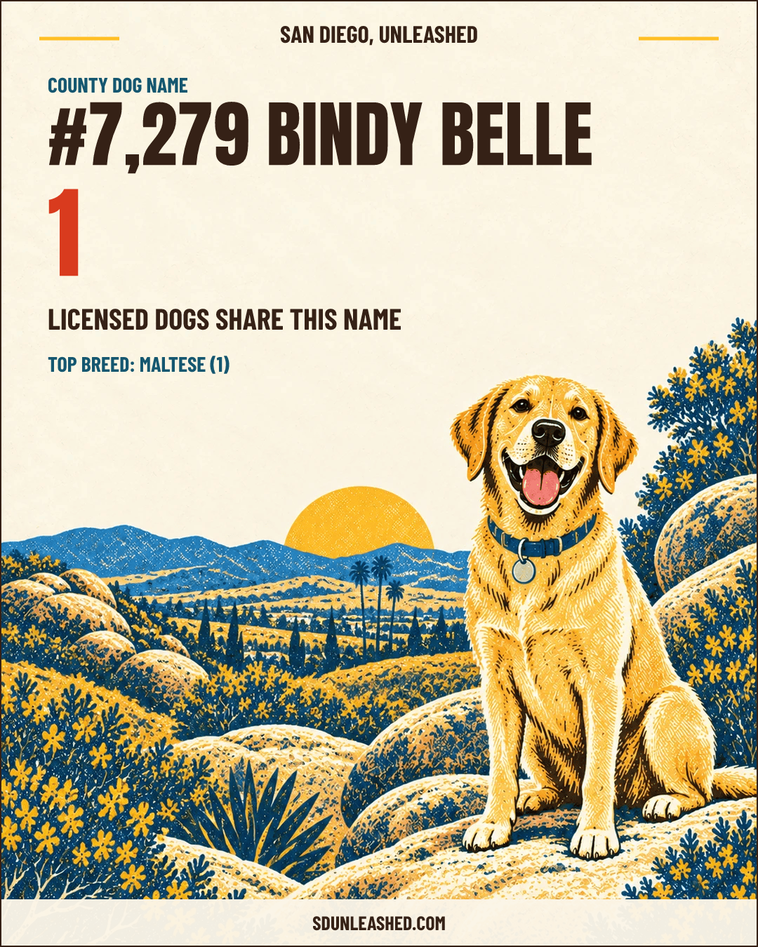 Bindy Belle share card