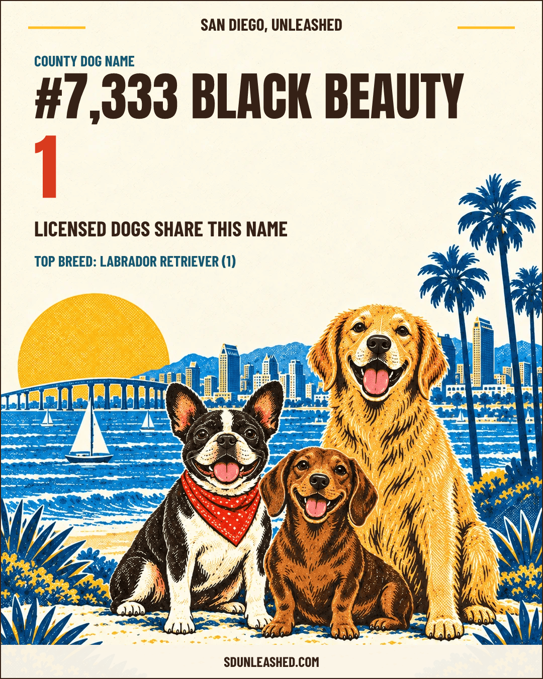 Black Beauty share card