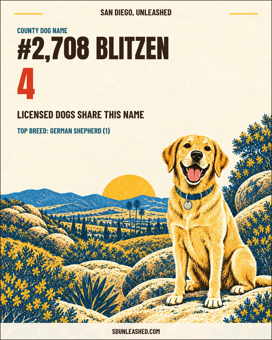 Blitzen share card
