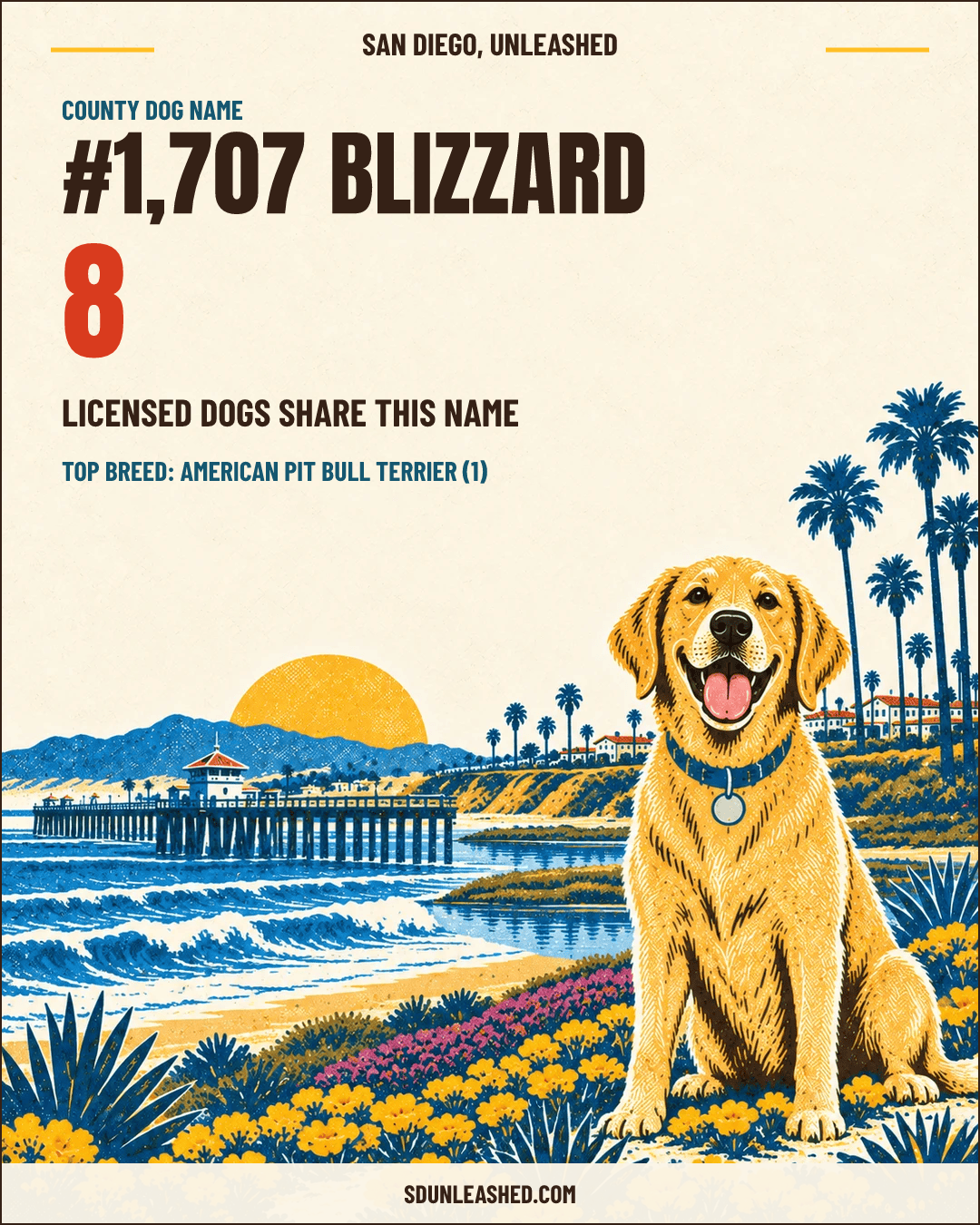 Blizzard share card