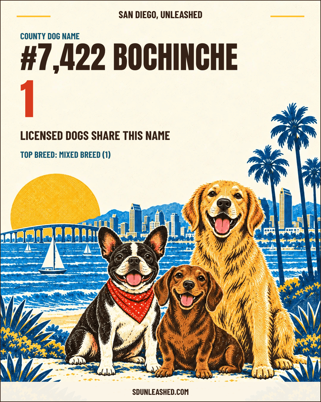Bochinche share card