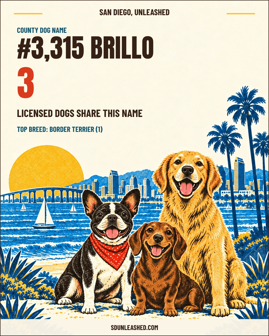 Brillo share card